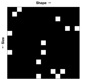 The matrix of possible receptors is mostly full of random points