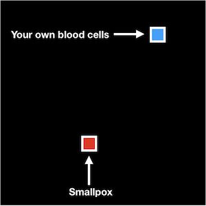 Your immune system classifies things as either good or bad based on what it's seen